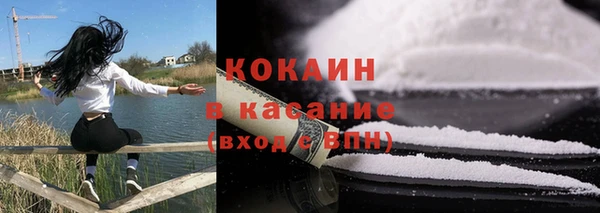 ПСИЛОЦИБИНОВЫЕ ГРИБЫ Арсеньев