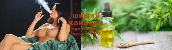 ПСИЛОЦИБИНОВЫЕ ГРИБЫ Арсеньев