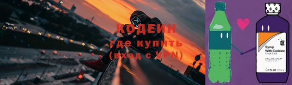 ПСИЛОЦИБИНОВЫЕ ГРИБЫ Арсеньев