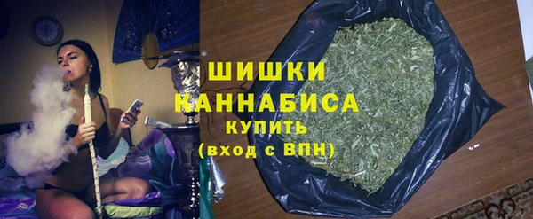 ПСИЛОЦИБИНОВЫЕ ГРИБЫ Арсеньев