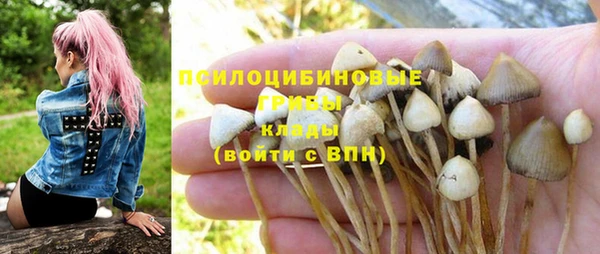 метамфетамин Аркадак